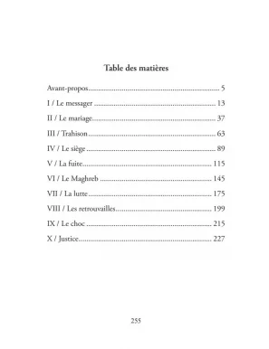 Les éprouvés, un roman de Othmane Hany - Oryms éditions
