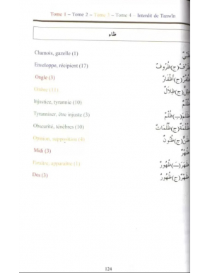Lexique des mots utilisés dans les cours de langue arabe pour non-arabophones - Meftah Mohamed-Ali - El Kiteb