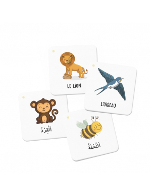 Mémo des animaux du Coran - DeeniLearn