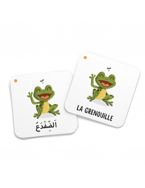 Mémo des animaux du Coran - DeeniLearn