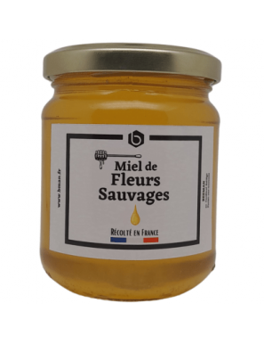 Miel de fleurs sauvages –...