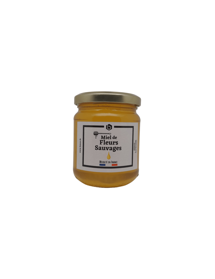 Miel de fleurs sauvages – 250g - Bman