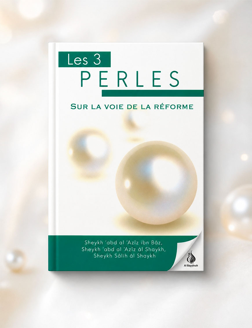 Les 3 Perles sur la voie de la reforme - Imaany