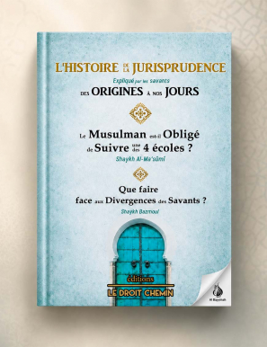 L'histoire de la jurisprudence expliqué par les savants des origines à nos jours - éditions Le Droit Chemin