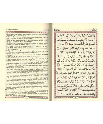 Le Noble Coran et la traduction des sens en français