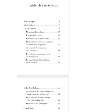 Soufisme et wahhabisme - deux frères ennemis?
