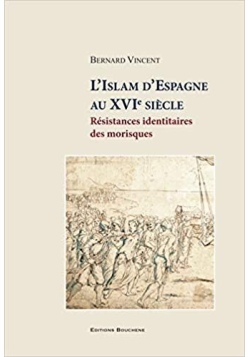 L'Islam d'Espagne au XVIe siècle: Résistances identitaires des morisques