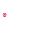 Islam actuel