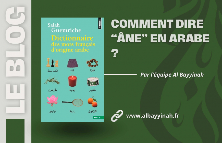 Comment écrire âne en arabe littéraire : astuces, écriture et vocabulaire utile