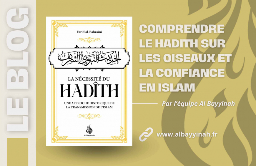 Le hadith des oiseaux et la confiance en Allah : Explication et mise en pratique